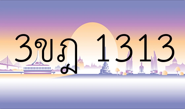 3ขฎ 1313